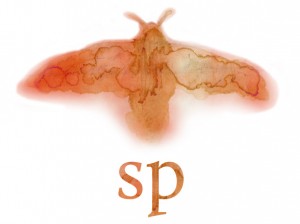 moth-sp